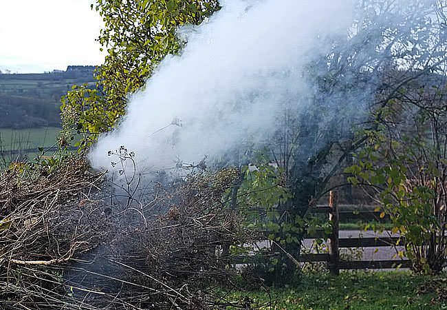 Дымовые кучи в саду против майских заморозков фото