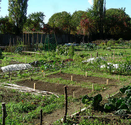 Планировка сада и огорода фото