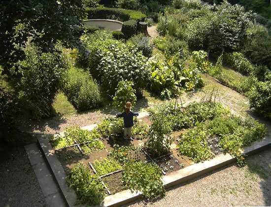 Фото планировка сада и огорода на даче